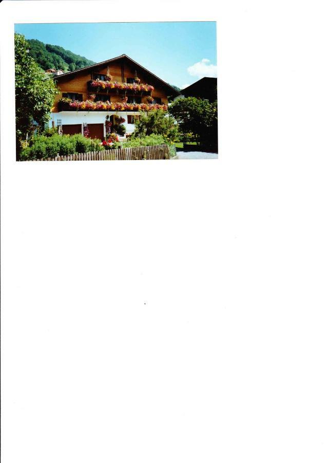 Apartment Am Bach Mellau Exterior photo